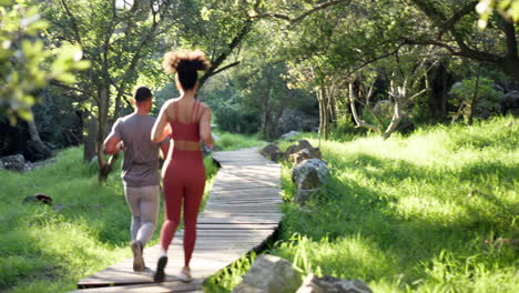 running, back and couple of friends in forest