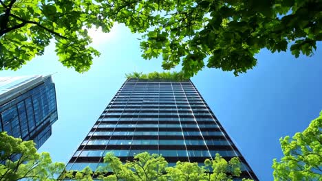 a tall building with trees in front of it