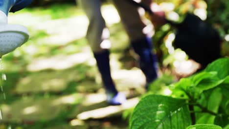 Senior-couple-watering-plants-with-watering-can-in-garden-