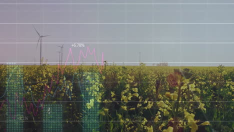 animation of diagrams and data processing over field with wind turbines