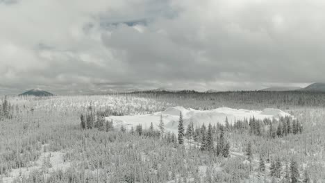 4k-Luftschneedüne-Mitten-Im-Wald