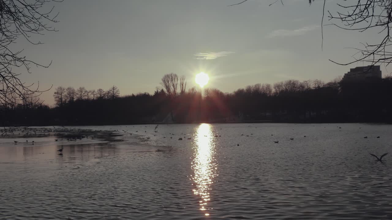 夕暮れ時に鳥がいる湖の静止画