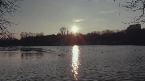 static shot of a lake with birds on it at sunset