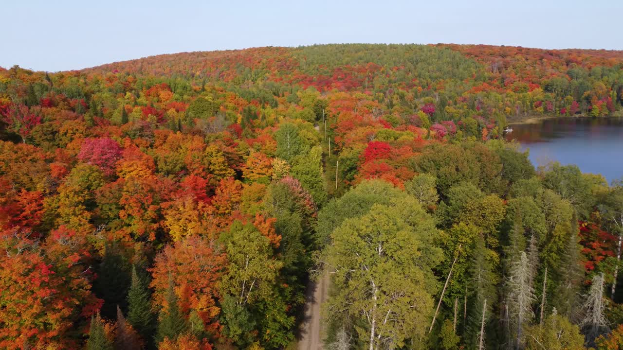 vista aérea desde arriba de la carretera con árboles coloridos en otoño