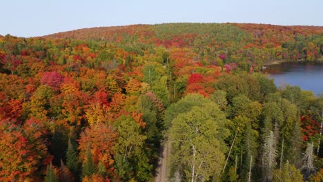 Aerial-view-from-above-of-highway-with-colorful-trees-in-autumn