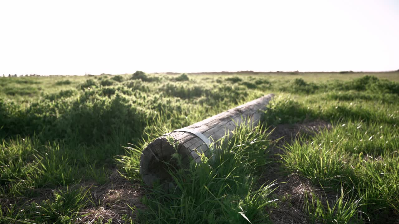 vista panorámica de un gran trozo de tronco tendido en el campo de hierba