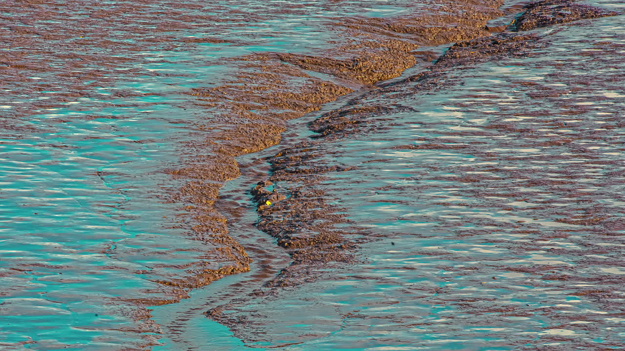 Water drains from a tidal pool along a muddy coastline - isolated time lapse