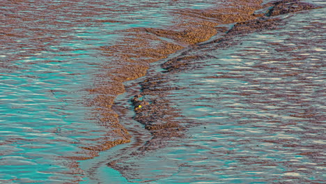 Water-drains-from-a-tidal-pool-along-a-muddy-coastline---isolated-time-lapse