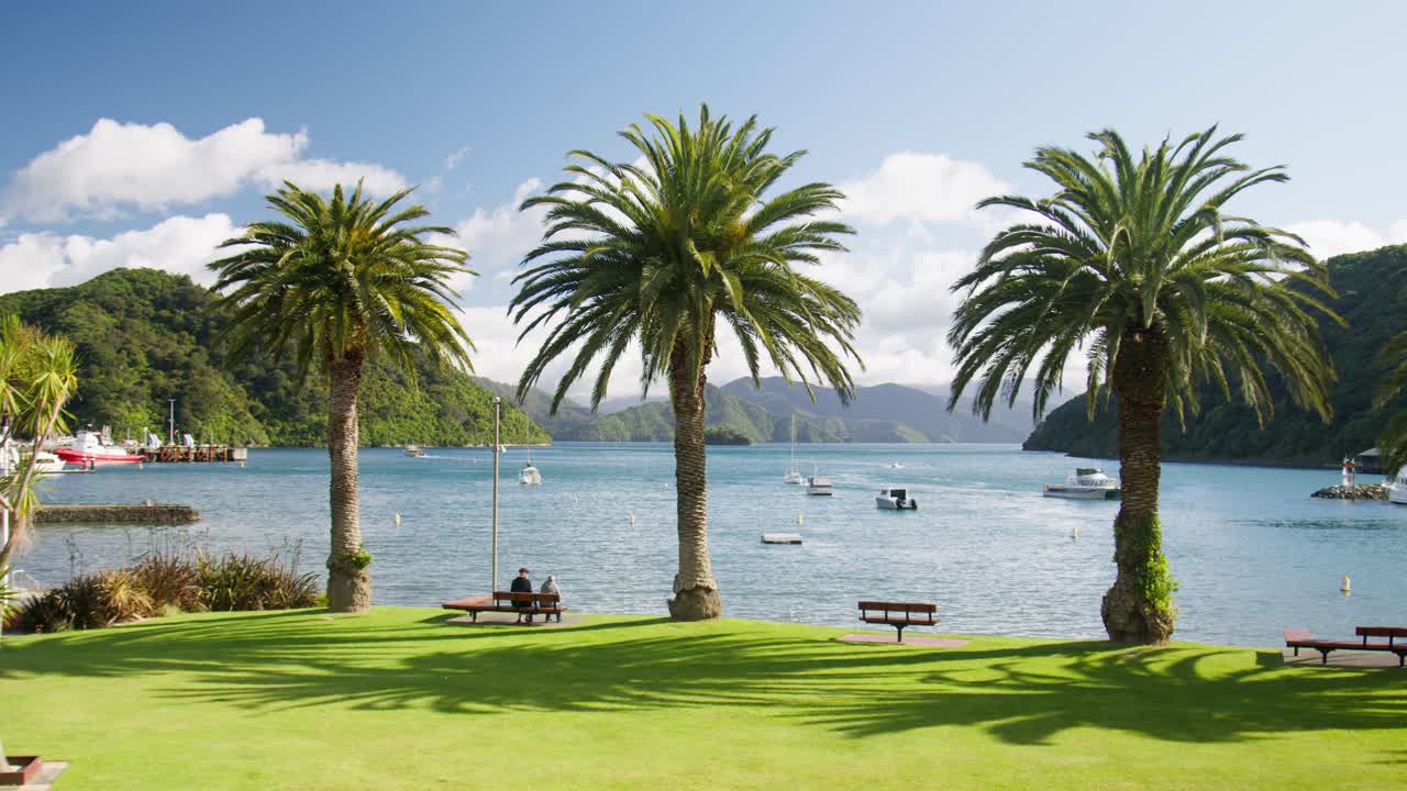 The view of the Marlborough Sounds in Picton, New Zealand with palm trees in the foreground