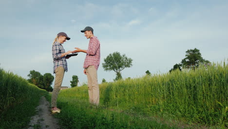 Two-Young-Farmers-Are-Talking-While-Standing-By-A-Field-Of-Wheat