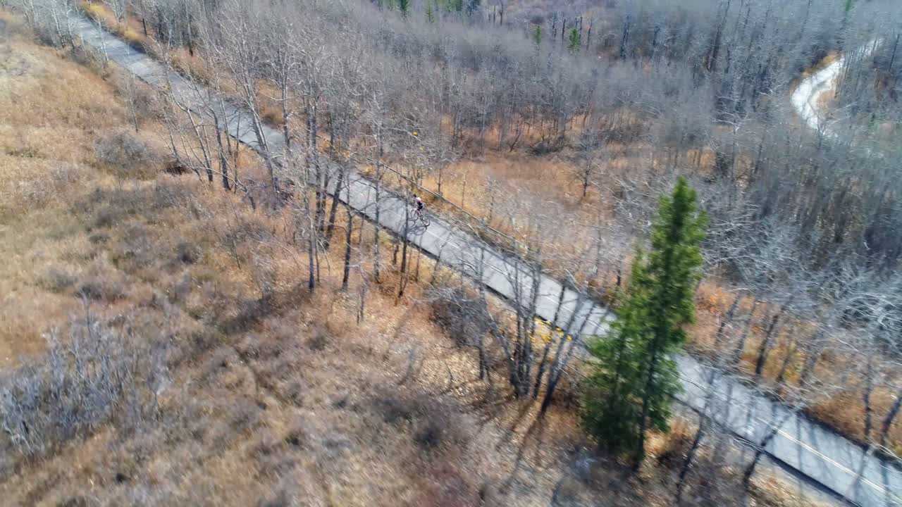 велосипедист едет на велосипеде по сельской дороге в лесу 4k