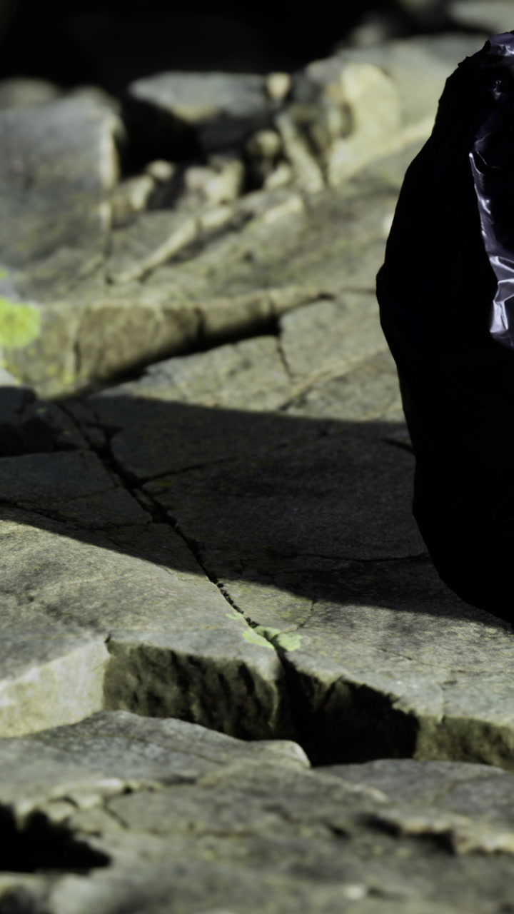 People are walking on uneven stones beside a small stream in the forest
