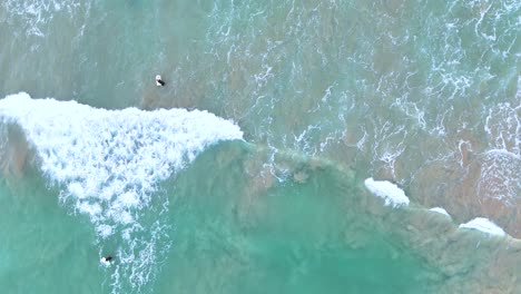 aerial footage captures a surfer navigating waves in ocean grove, victoria. clear turquoise water and dynamic wave patterns create a serene coastal scene