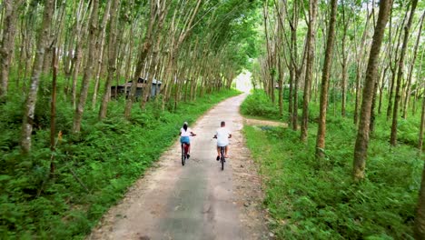 a couple of men and women on bicycle in the jungle of koh yao yai thailand, men and woman bicycling alongside a rubber plantation in thailand.