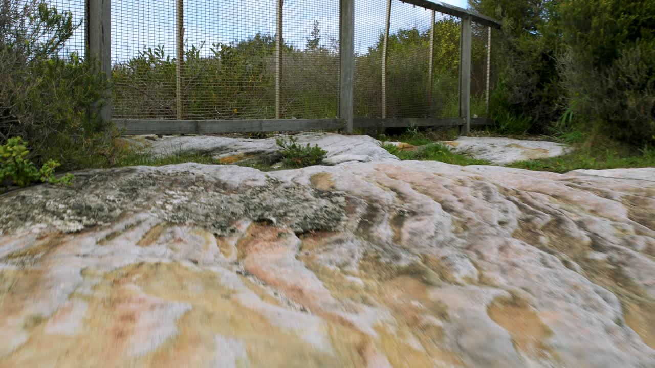 tracking raising shot of wild wind blowing long grass on ocean cliff