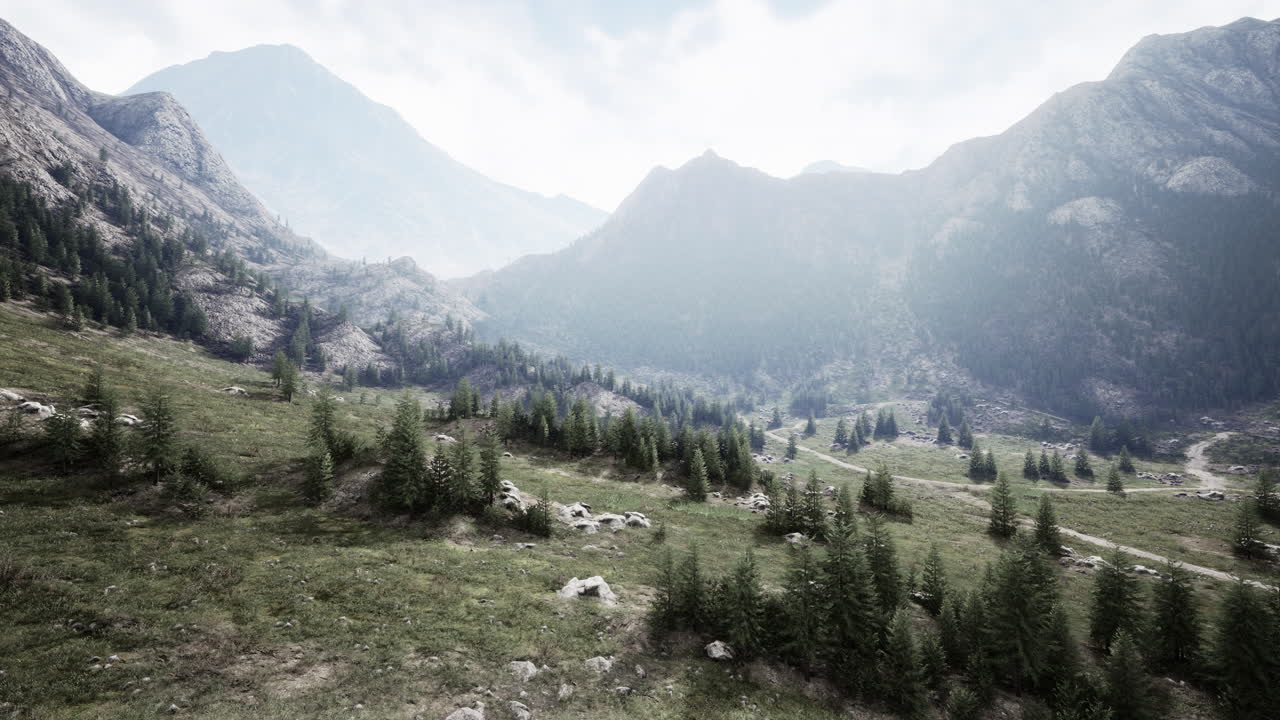 Klikatá horská silnice přes alpské louky na okraji lesa
