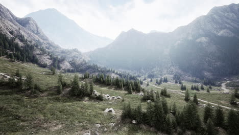 Kurvenreiche-Bergstraße-über-Almwiesen-Am-Waldrand