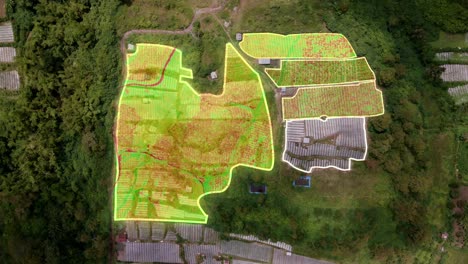 Moderne-Technologie,-Die-Spektren-Der-Landwirtschafts--Und-Pflanzenanalyse-Hervorhebt