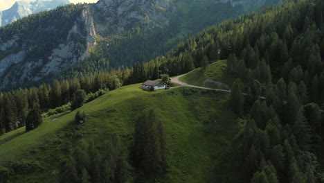 Hermosa-Naturaleza-Idílica,-Praderas-Verdes-Y-Montañas-De-Los-Alpes,-Paisajes-De-Pastos,-Bosque-De-Pradera,-Hogar-Y-Cielo-Azul.