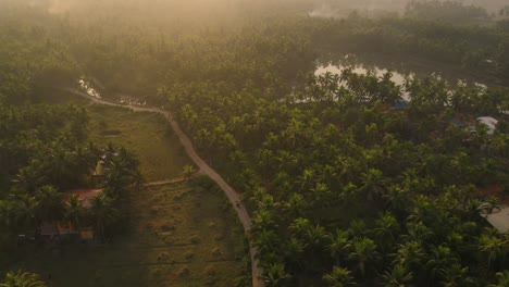 sunrise over a tropical village