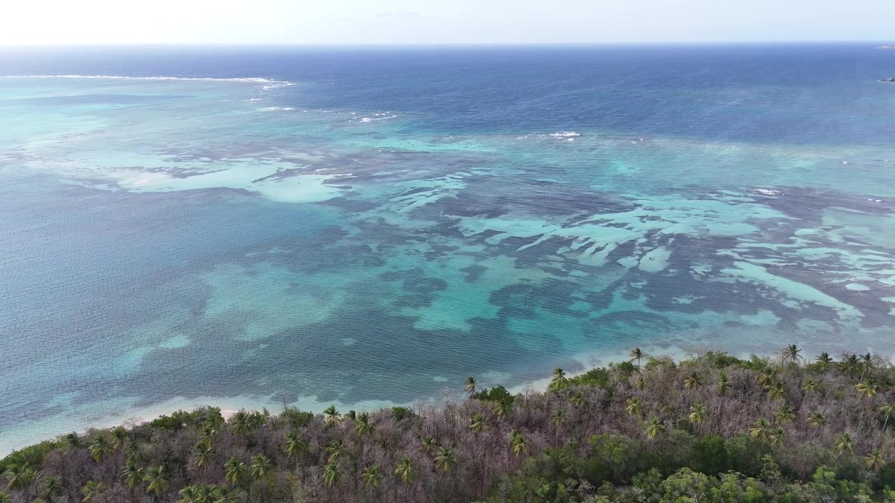 Veduta aerea con drone sulla lussureggiante foresta di palme e le estese barriere coralline di No Man's Land, isola di Tobago, Trinidad e Tobago.