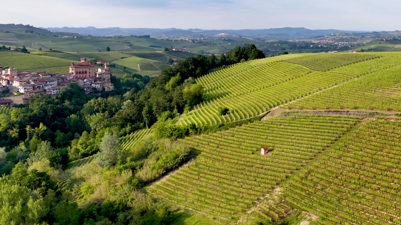 Plan large aérien par drone de vignobles verdoyants et luxuriants et d'un village rural dans le Piémont, en Italie
