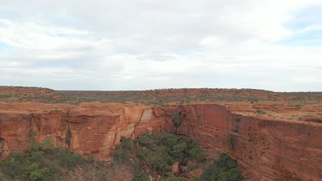 acantilados rojos y meseta de kings canyon en australia - kings canyon walk en el parque nacional watarrka