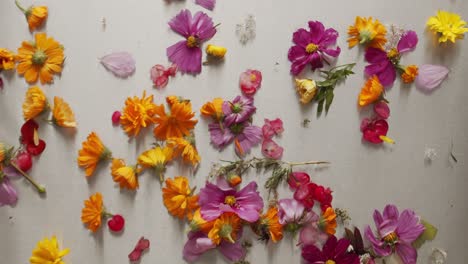 Flores-De-Primavera-Flotando-En-El-Agua