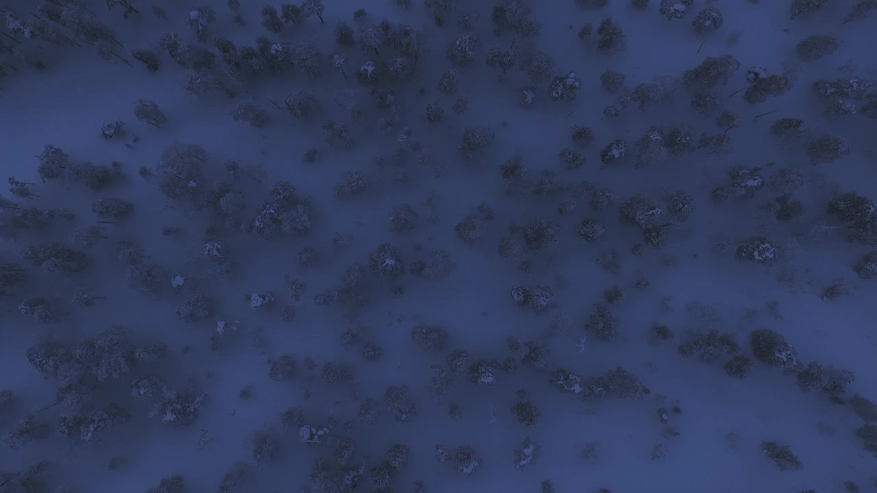 Top down drone shot above a winter forest, gloomy, polar night eve in Lapland