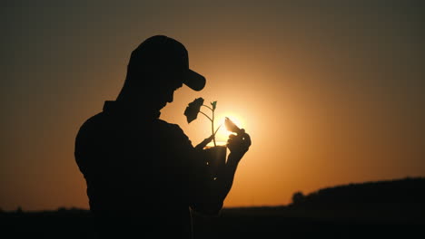 farmer planting a seedling at sunset