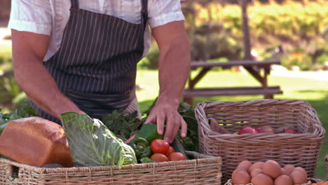 Farmer-searching-for-carrot-in-slow-motion