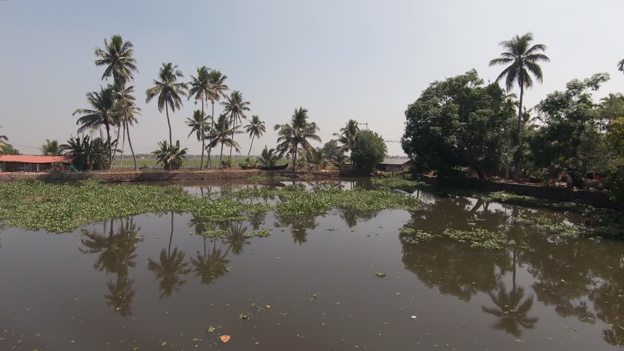 Naturskjønn utsikt over vannvei og refleksjon av palmetrær og vegetasjon langs breddene av Alappuzha i India