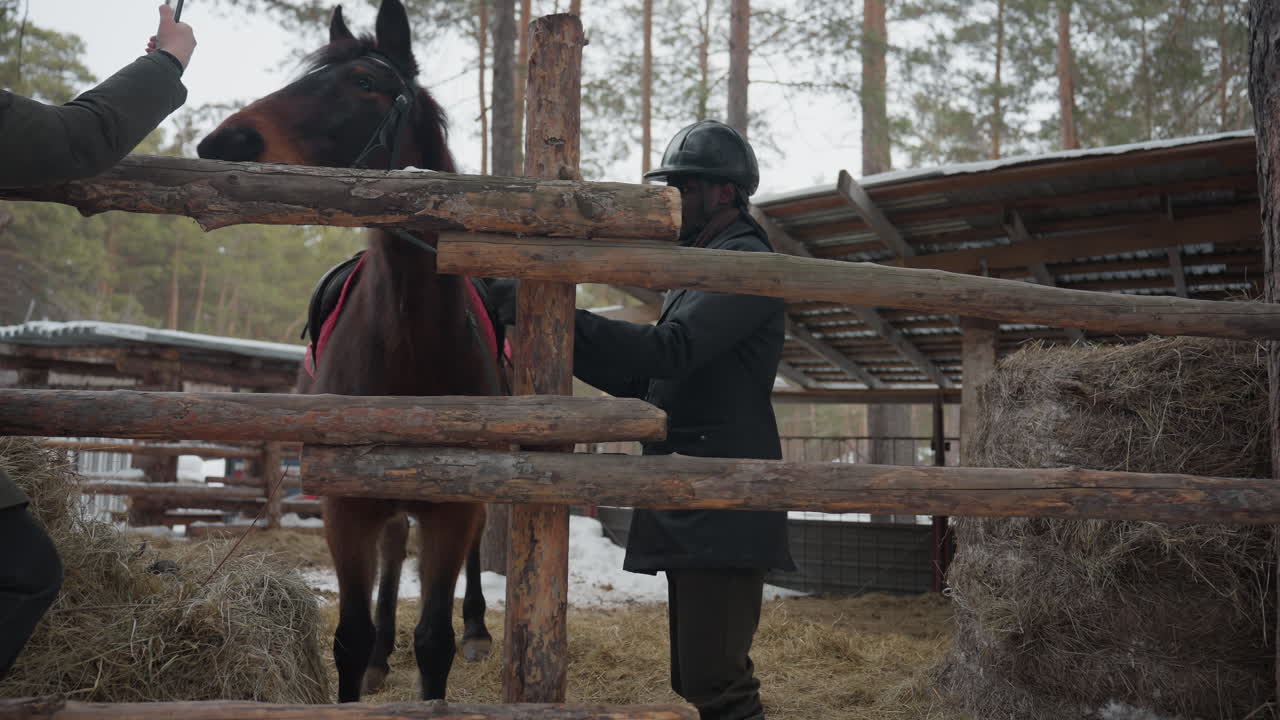Entrenador negro saluda a caballo en establo nevado, acariciando suavemente sobre la valla de madera, cuidador con casco revisa el cabestro, balas de heno y pinos al fondo, tranquilo momento de cuidado matutino lleno de confianza y calma