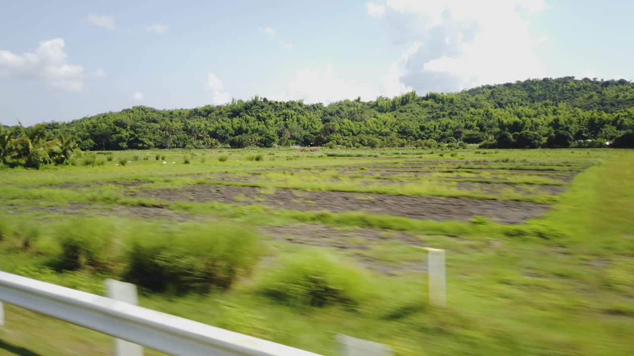 시골에서 운전하는 동안 승객 보기