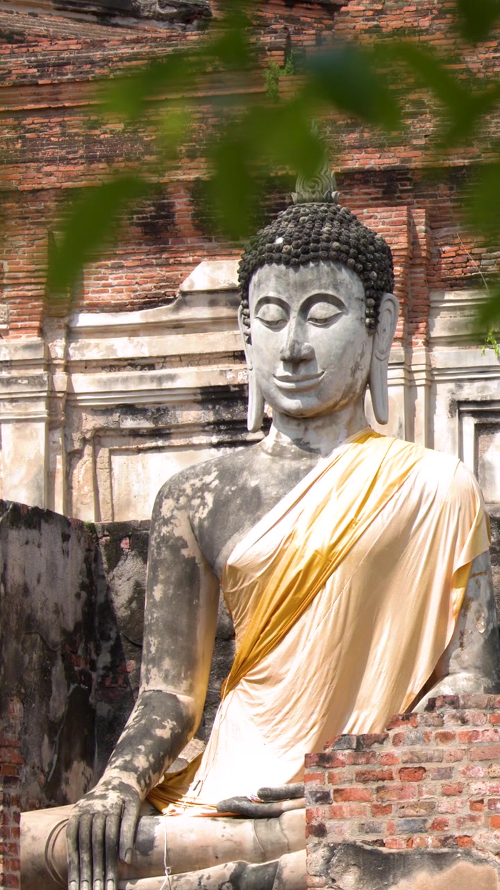 Antica statua di Buddha seduto drappeggiata in tessuto dorato incorniciata da foglie verdi ad Ayutthaya, Thailandia