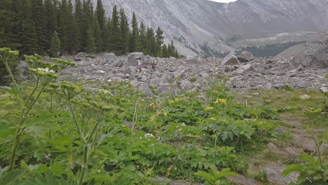 Hikers-in-light-snow-foliage-approaching-Rockies-Kananaskis-Alberta-Canada