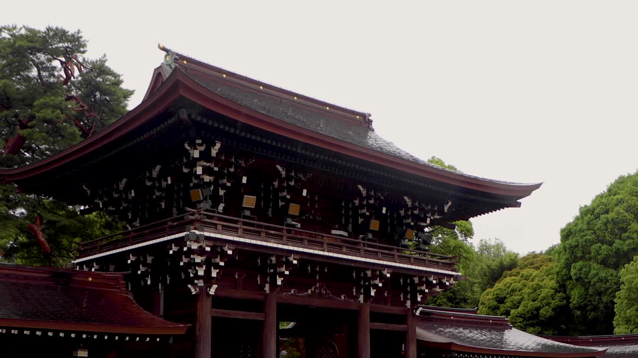 도쿄 최고의 전망