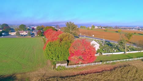 Eine-Drohnenansicht-Einer-Reihe-Von-Herbstbäumen-Mit-Leuchtend-Orangefarbenen-Und-Roten-Blättern,-Die-An-Einem-Hellen-Sonnigen-Morgen-über-Ackerland-Blicken