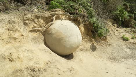 exploring the moeraki boulders at koekohe beach near dunedin