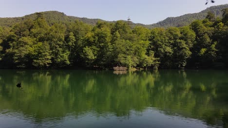 lake reflecting a green landscape 1