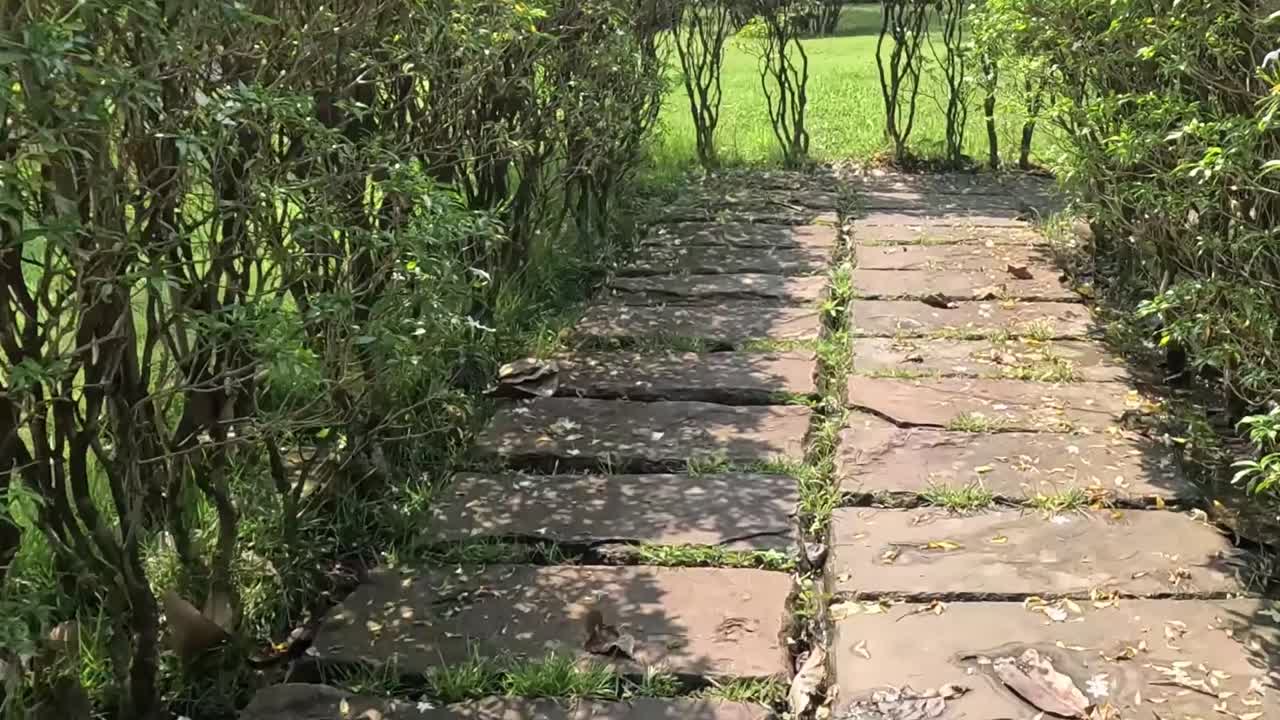 A tranquil stone path flanked by lush hedges, leading into a sunlit grassy area.