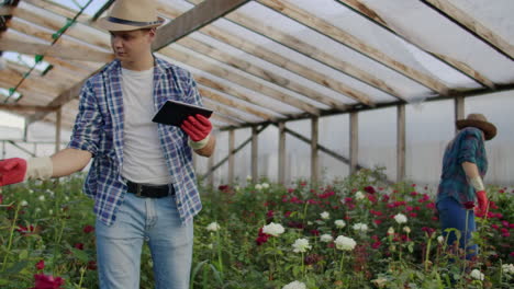 Trabajador-Con-Tableta-Cerca-De-Rosa-En-Invernadero.-Dos-Hermosas-Jóvenes-Sonrientes-Y-Un-Hombre-Trabajador-Con-Tableta-Cerca-De-Rosa-En-Invernadero.-Concepto