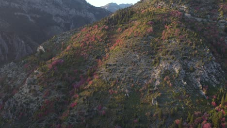colores aéreos de otoño de american fork canyon, montañas wasatch, utah