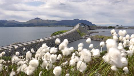 carretera del océano atlántico noruega