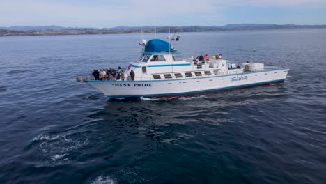 Grandes-Cruceros-En-Barco-En-Mar-Abierto-Junto-A-Juguetones-Delfines-Nadando.