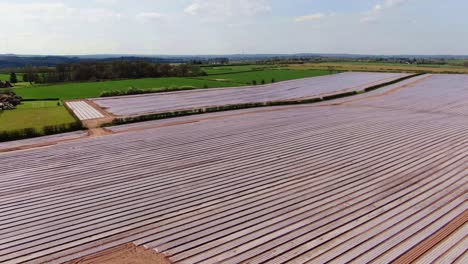 Aerial-view-of-plastic-polytunnels-on-soft-fruit-farm-set-in-green-countryside-against-backdrop-of-blue-cloudy-skies-in-England