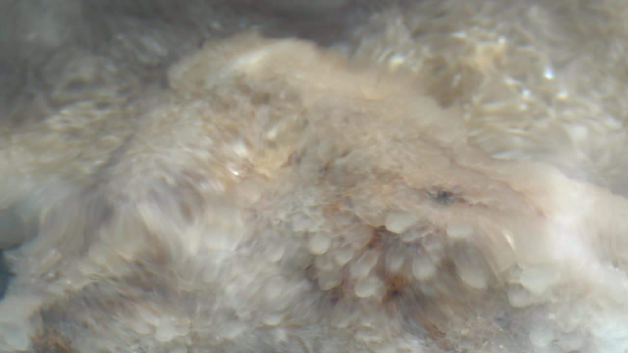 죽은 바다 의 소금 형성