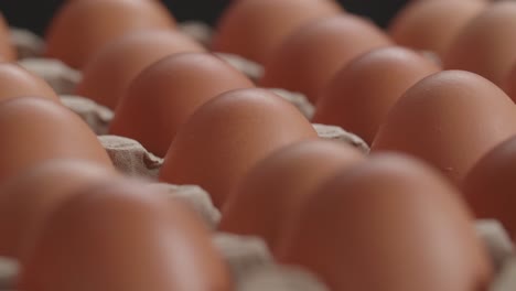 rotation of the eggs in the egg tray