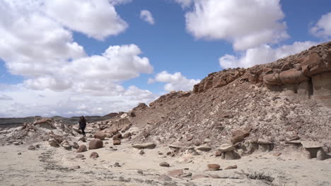 bisti de-na-zin wilderness, new mexico, usa