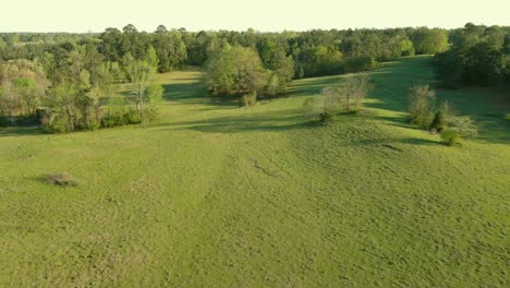 Blick-Von-Einer-Drohne,-Die-Im-Land-Fliegt